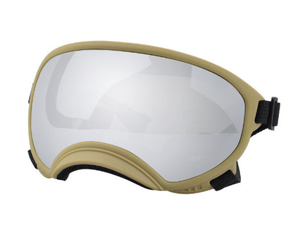 Ski Goggles