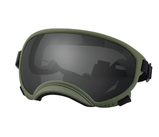 Ski Goggles