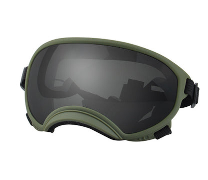 Ski Goggles