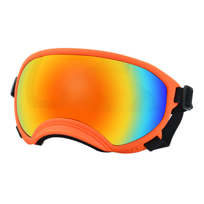Ski Goggles
