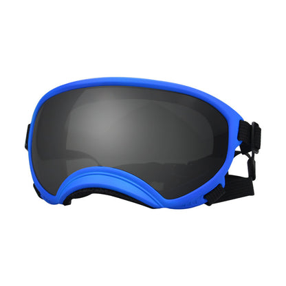 Ski Goggles