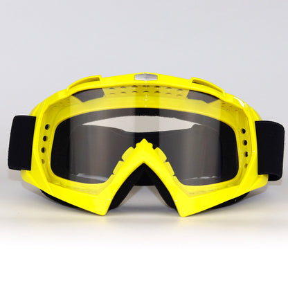 Ski Goggles