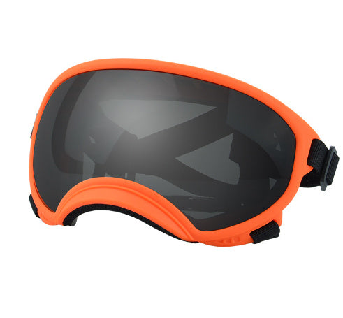 Ski Goggles