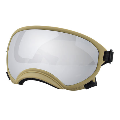 Ski Goggles