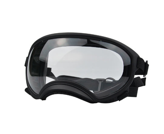 Ski Goggles
