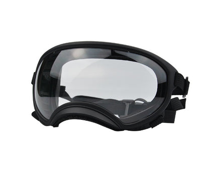 Ski Goggles