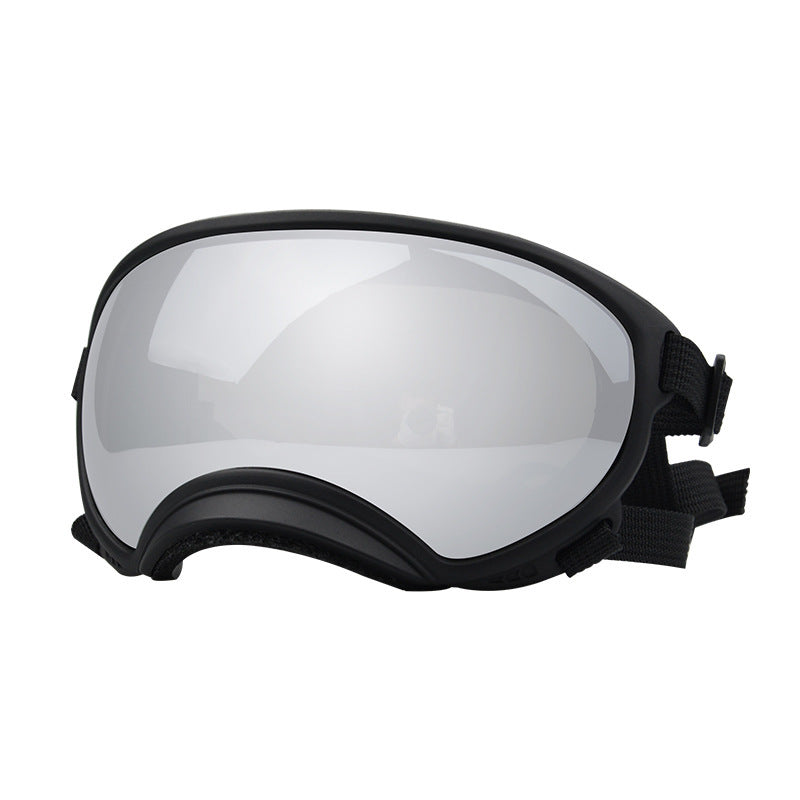 Ski Goggles