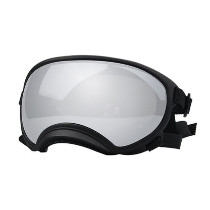 Ski Goggles
