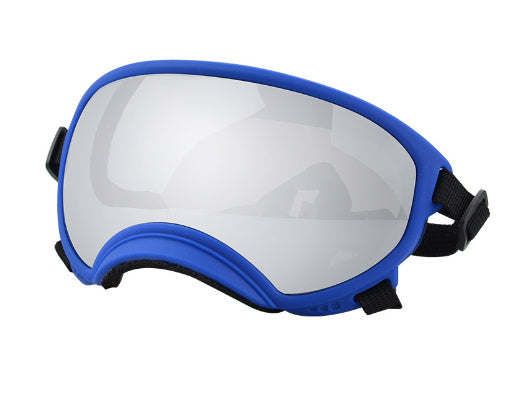 Ski Goggles