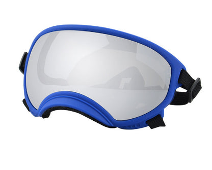 Ski Goggles