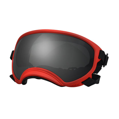 Ski Goggles
