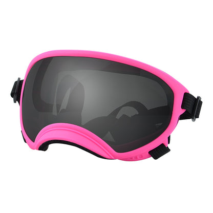 Ski Goggles