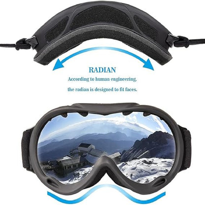 Ski Goggles