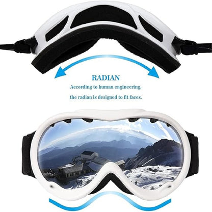 Ski Goggles