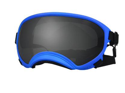 Ski Goggles