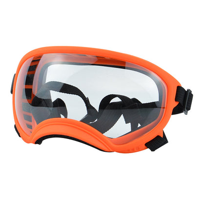 Ski Goggles
