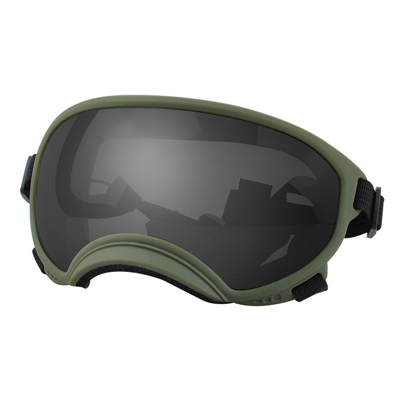 Ski Goggles