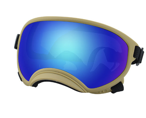Ski Goggles
