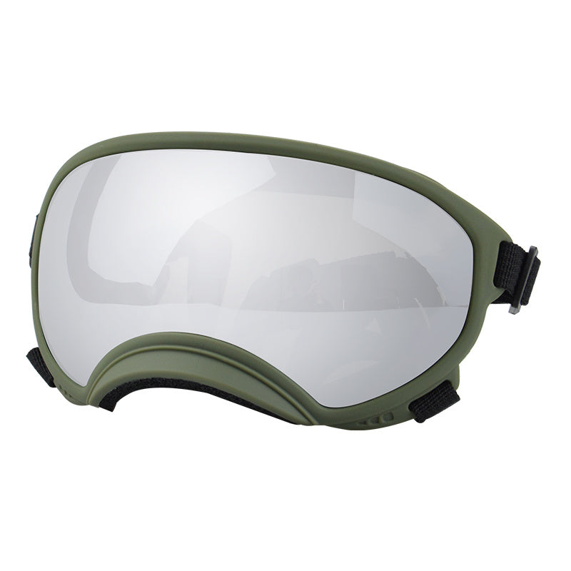 Ski Goggles