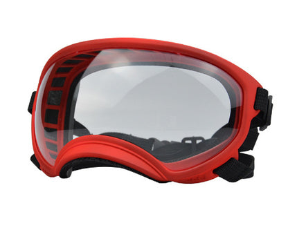 Ski Goggles