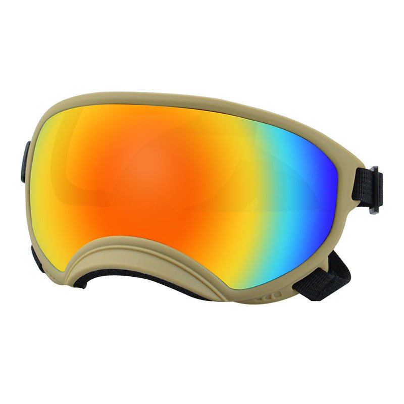 Ski Goggles