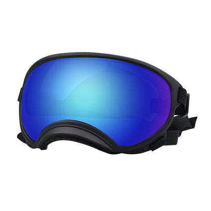 Ski Goggles