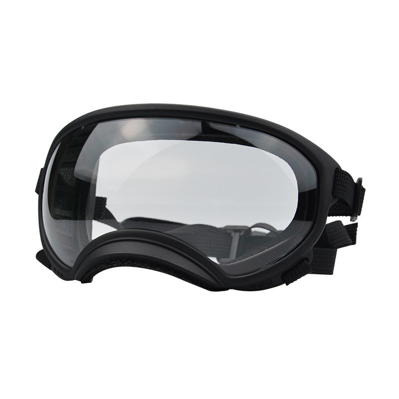 Ski Goggles