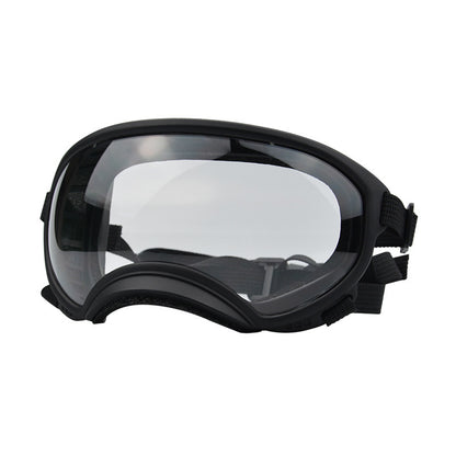 Ski Goggles