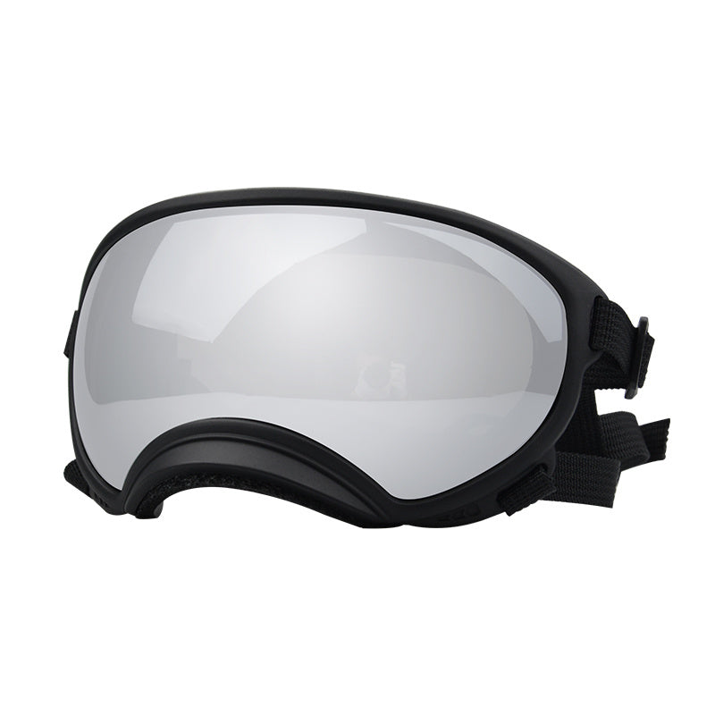 Ski Goggles