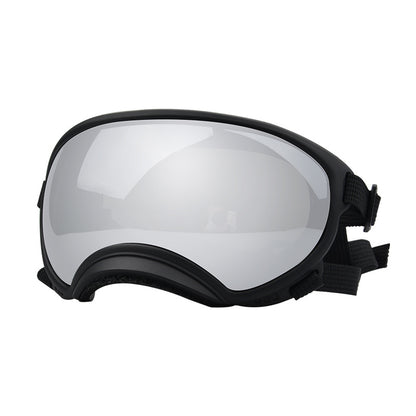 Ski Goggles
