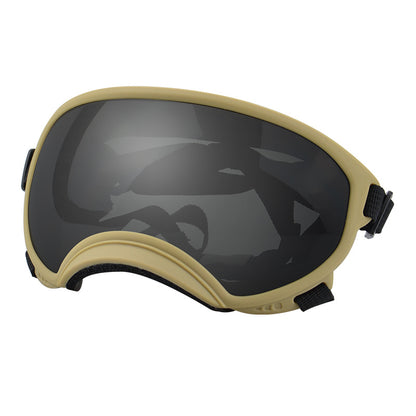 Ski Goggles