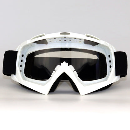 Ski Goggles