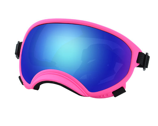 Ski Goggles