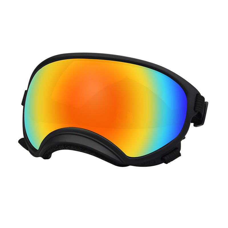 Ski Goggles