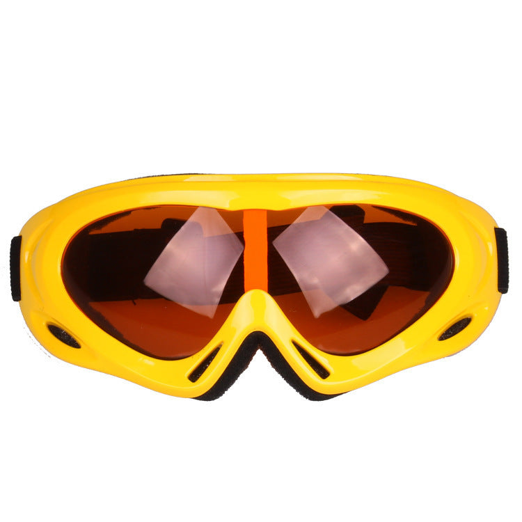 Ski Goggles
