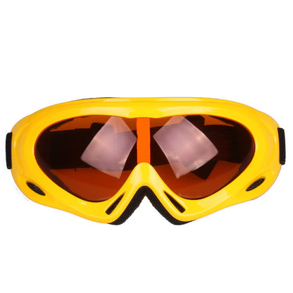 Ski Goggles