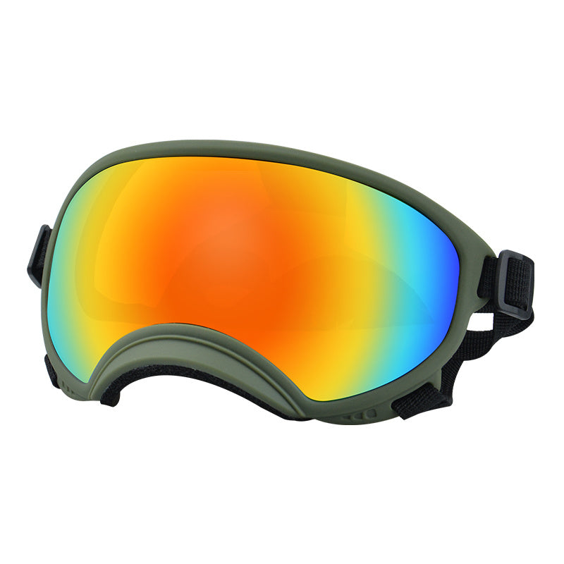 Ski Goggles