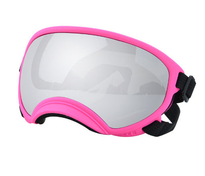 Ski Goggles