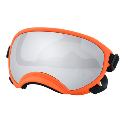 Ski Goggles
