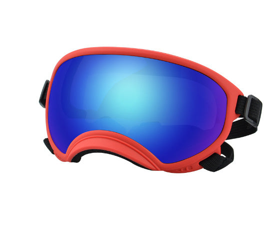 Ski Goggles