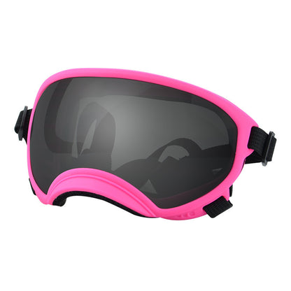 Ski Goggles