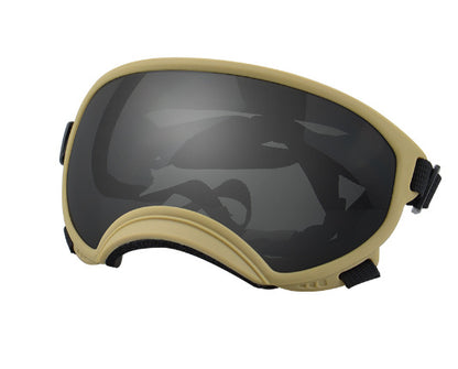Ski Goggles