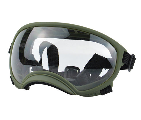 Ski Goggles