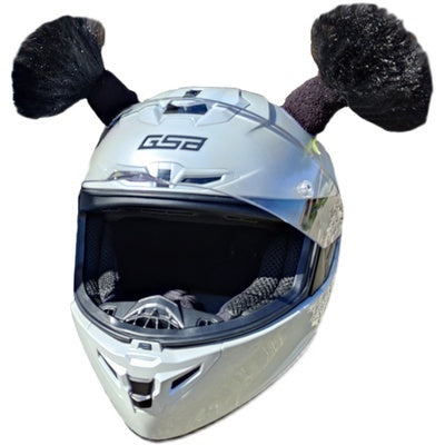 Motorcycle Helmet