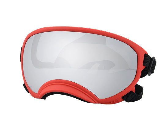 Ski Goggles