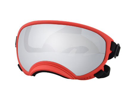 Ski Goggles