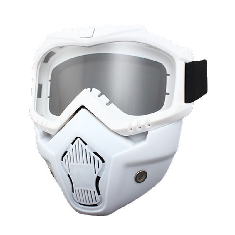 Ski Goggles