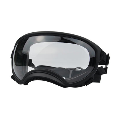 Ski Goggles