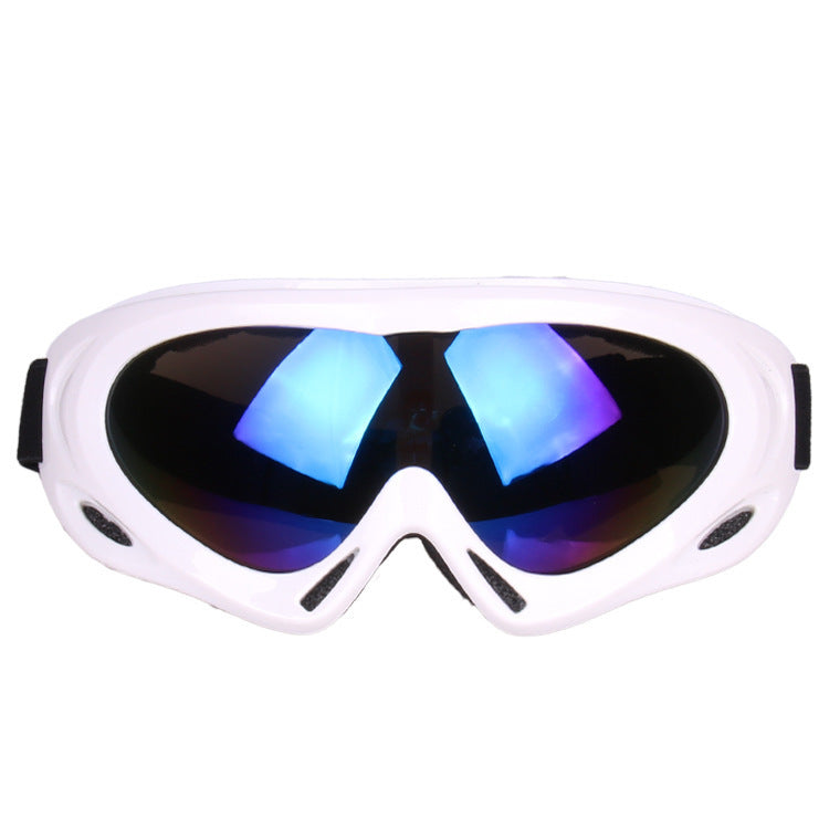 Ski Goggles