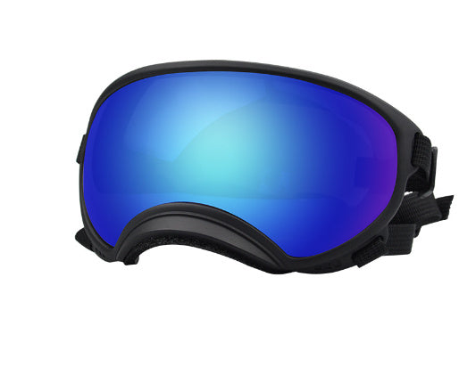 Ski Goggles